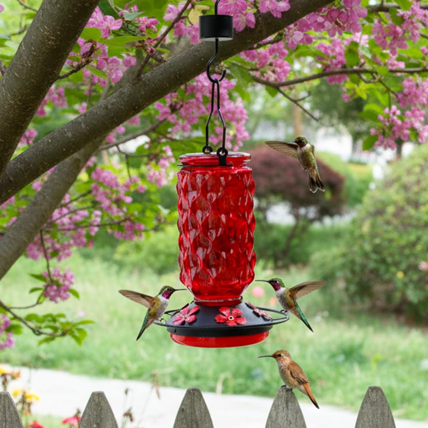 Skiennix Glass Hummingbird Feeder - 25 Oz Red Nectar Feeder with 5 Feeding Ports & Ant Moat | Ideal Garden Gift