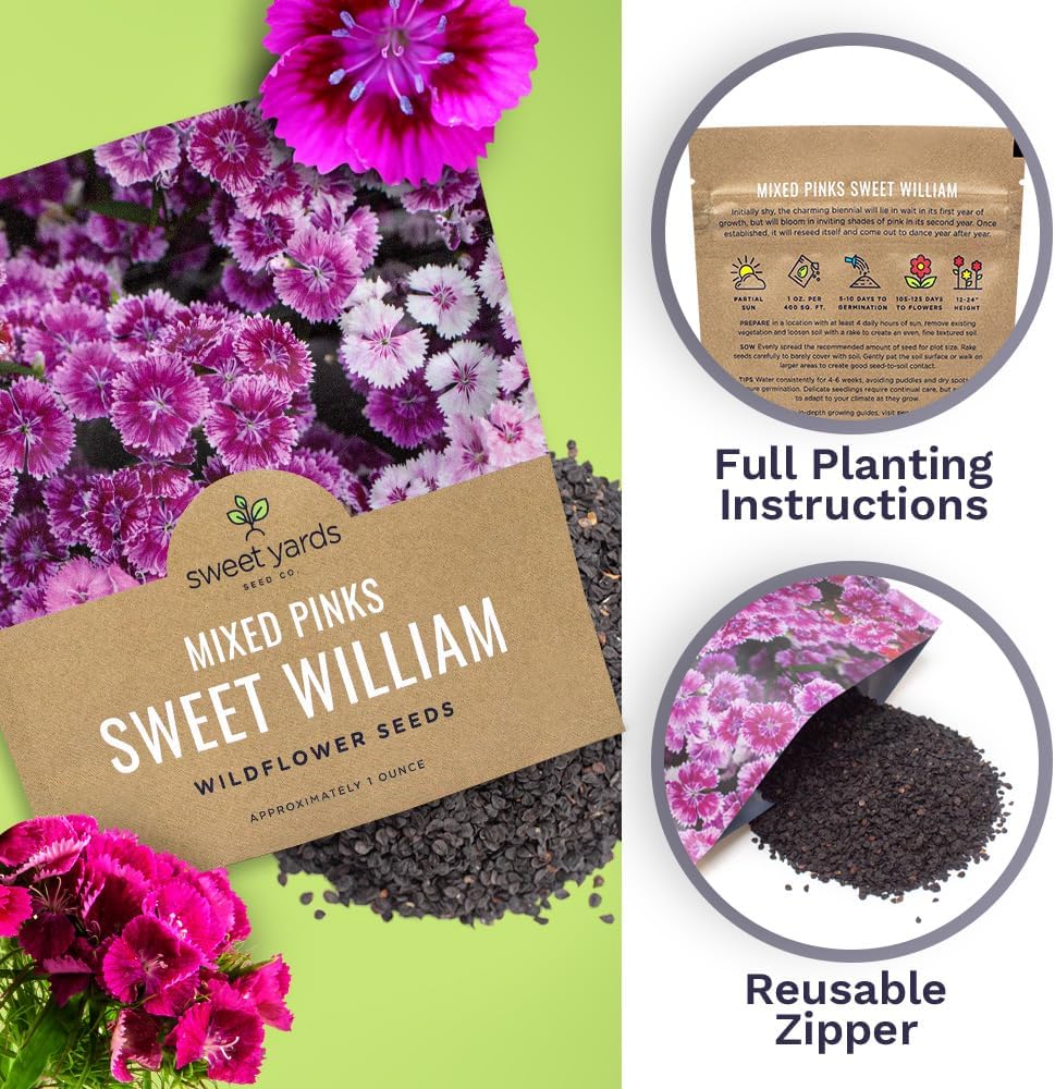Sweet William Seeds - Mixed Pink Colors - Non-GMO Flower Seeds - Extra Large 1oz Packet