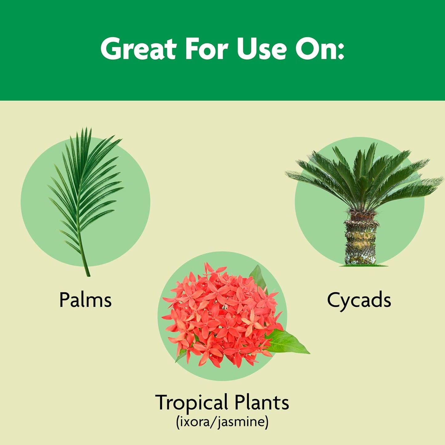 Miracle-Gro Shake 'N Feed Palm Plant Food - Fertilizer for Thriving Container & In-Ground Palm Trees | 4.5 lb