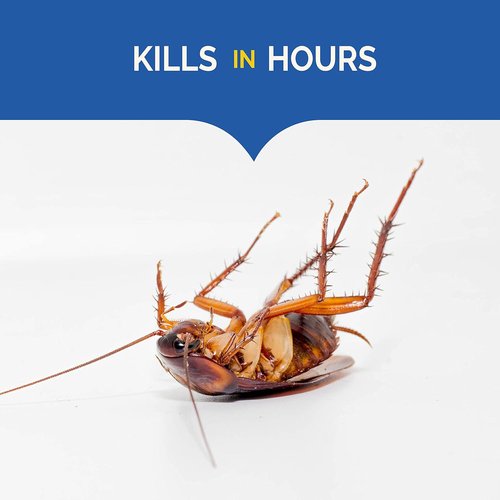 Hot Shot Ultra Liquid Roach Bait - Fast-Acting Formula Kills Roaches in Hours | 6 Count Pack