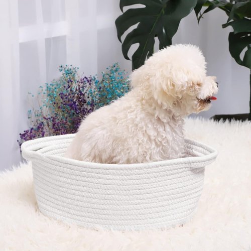 ABenkle Decorative Rope Woven Storage Basket - Boho Style Toy Organizer for Dogs & Cats | 12"x8"x5", White
