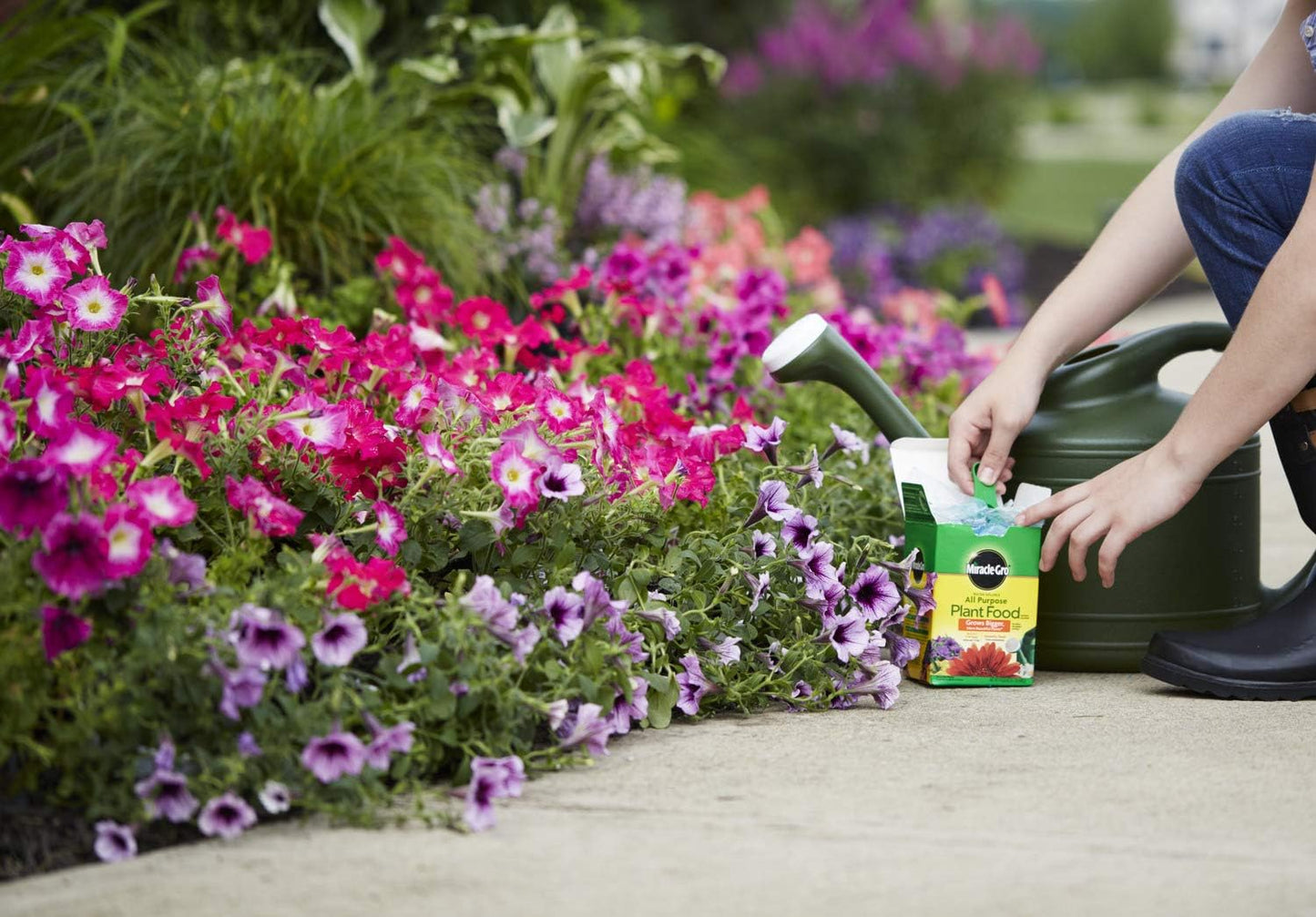 Miracle-Gro Water Soluble Plant Food - All-Purpose Fertilizer for Indoor & Outdoor Plants | 1.5 lbs (6-Pack)