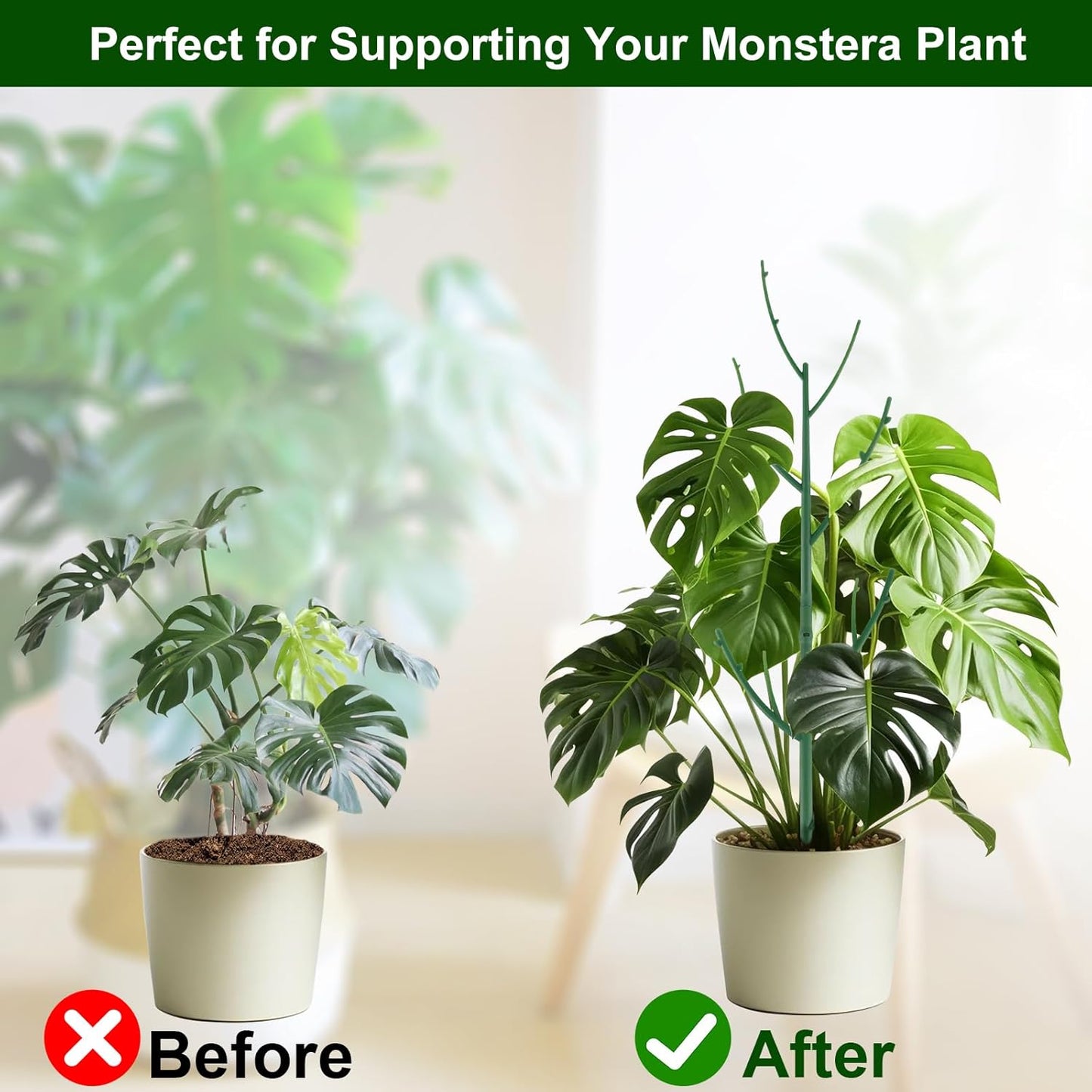 Yhtpouqe Stackable Monstera Plant Support - Durable Garden Stakes for Climbing Plants | 10 Pack