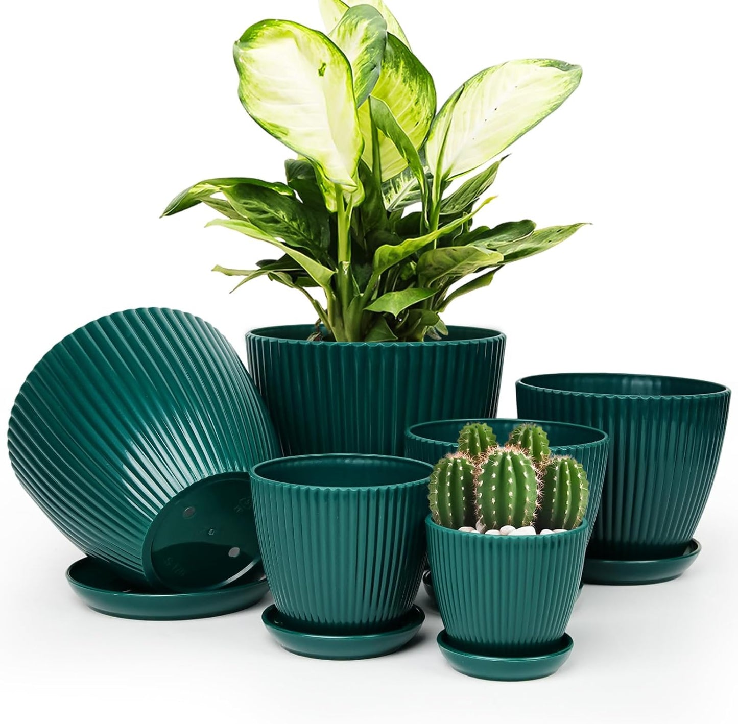 Skiennix Indoor Plant Pots - 6 Pack Plastic Planters with Saucers & Drainage - Dark Green, Various Sizes (3.5"-7.5")