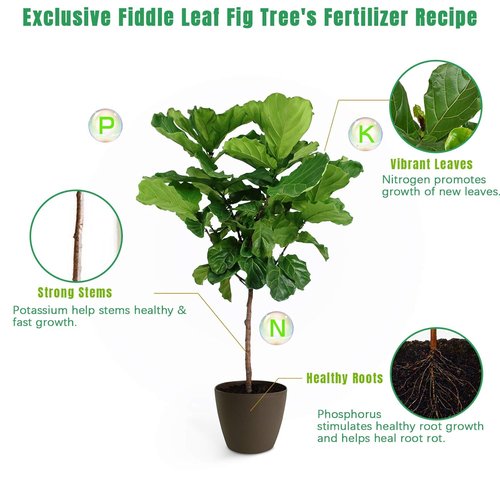 FOLLOWIN Fiddle Leaf Fig Fertilizer - Urea-Free Plant Food with 7 Chelated Micronutrients, 21 fl oz