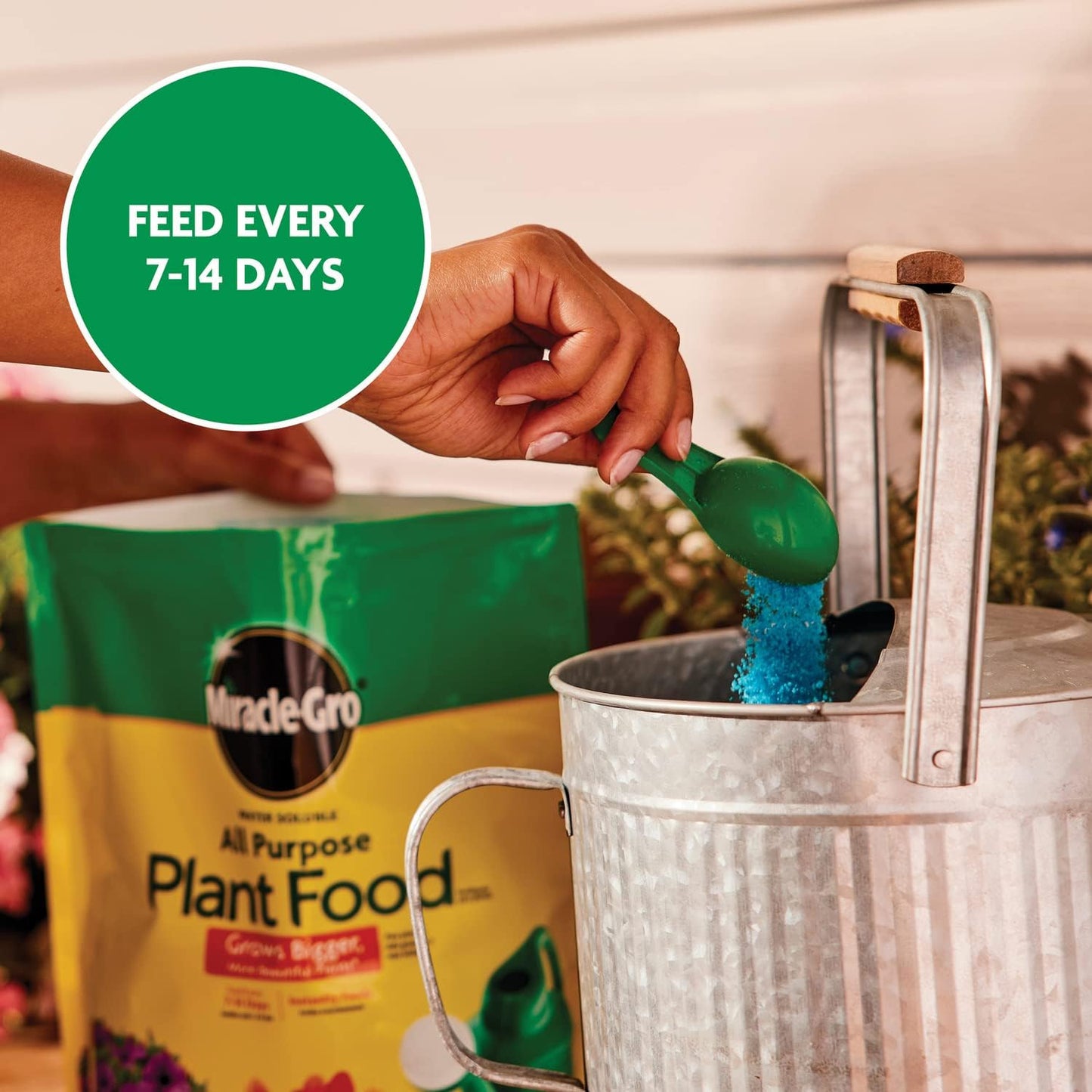 Miracle-Gro Water Soluble Plant Food - All-Purpose Fertilizer for Indoor & Outdoor Plants | 5 lb Bag