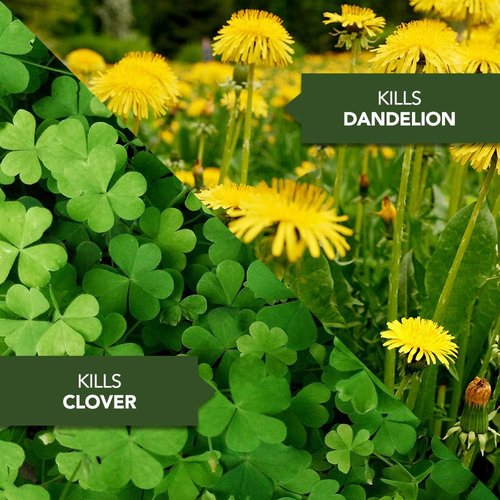 BioAdvanced 3-In-1 Weed and Feed Granules - Perfect for Southern Lawns, 12.5 lb Covers 5,000 Sq Ft
