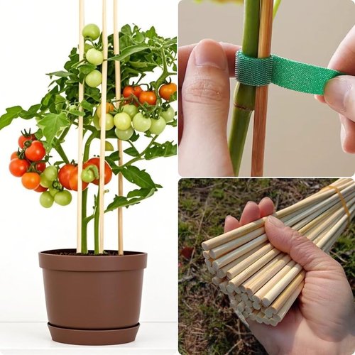 Bamboo Plant Stakes - 100 PCS 3FT Thick 6.3mm Support Sticks for Indoor & Outdoor Gardening