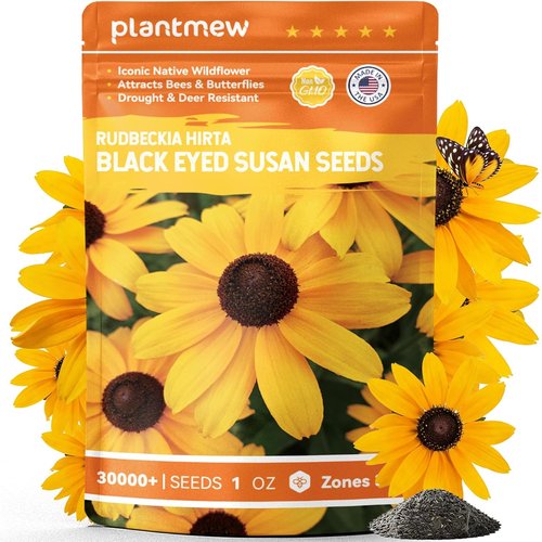 Black Eyed Susan Seeds - 30,000+ Non-GMO Heirloom Flower Seeds for Gardens & Borders | Attract Pollinators