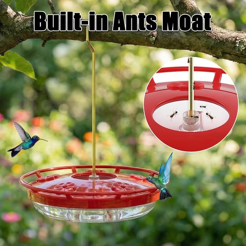 Feed Garden 16oz Hummingbird Feeder - Leak-Proof Design with Ant Moat & 5 Feeding Ports | Easy Clean Red Feeder for Outdoors