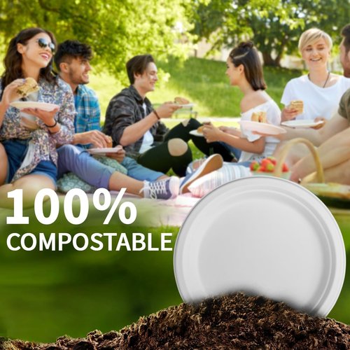 Eco-Choice 9-Inch Compostable Paper Plates - 150 Pack of Sturdy, Biodegradable Dinnerware for Parties & Picnics