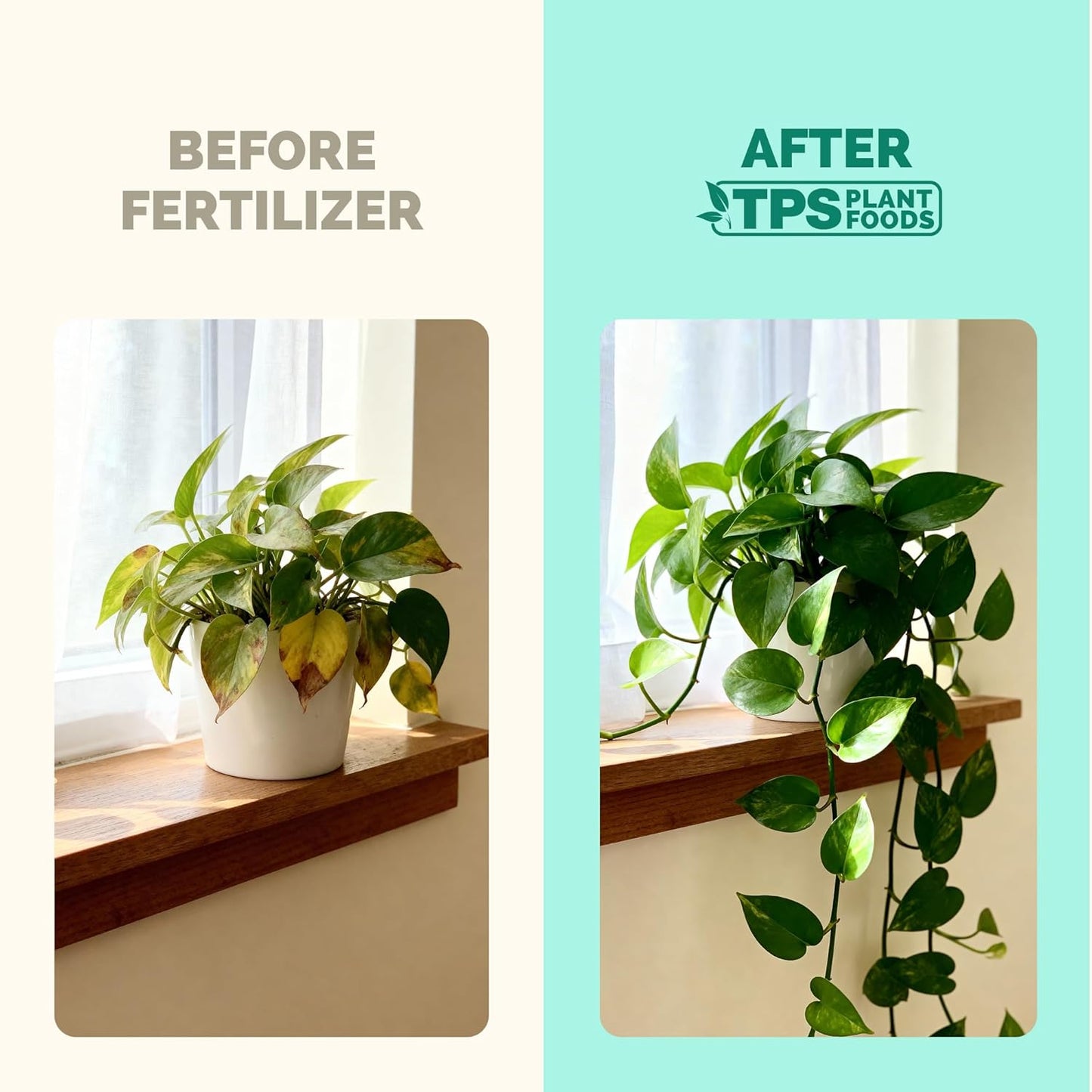 Skiennix Indoor Plant Food - Liquid Fertilizer for Vibrant Growth & Strong Roots | 8oz