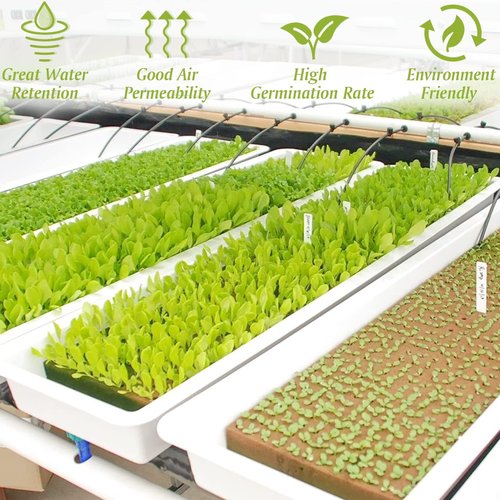 Halatool 1 Inch Rockwool Cubes for Hydroponic Growing, Rock Wool Planting Seed Starter Cubes, Clone Plugs Soilless Cultivation Seedlings Cuttings Germination Start (2 Sheets, 100 Plugs in Total)