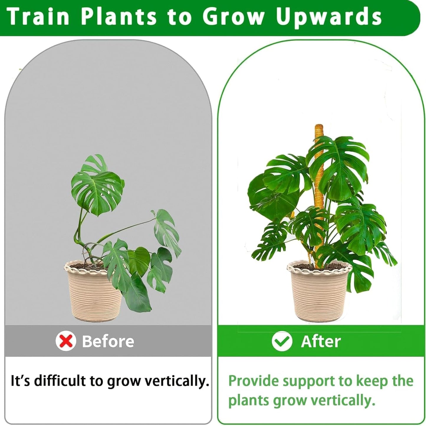 Moss Pole | 21-Inch Plant Support Stakes - 2-Pack for Monstera, Pothos & Philodendron