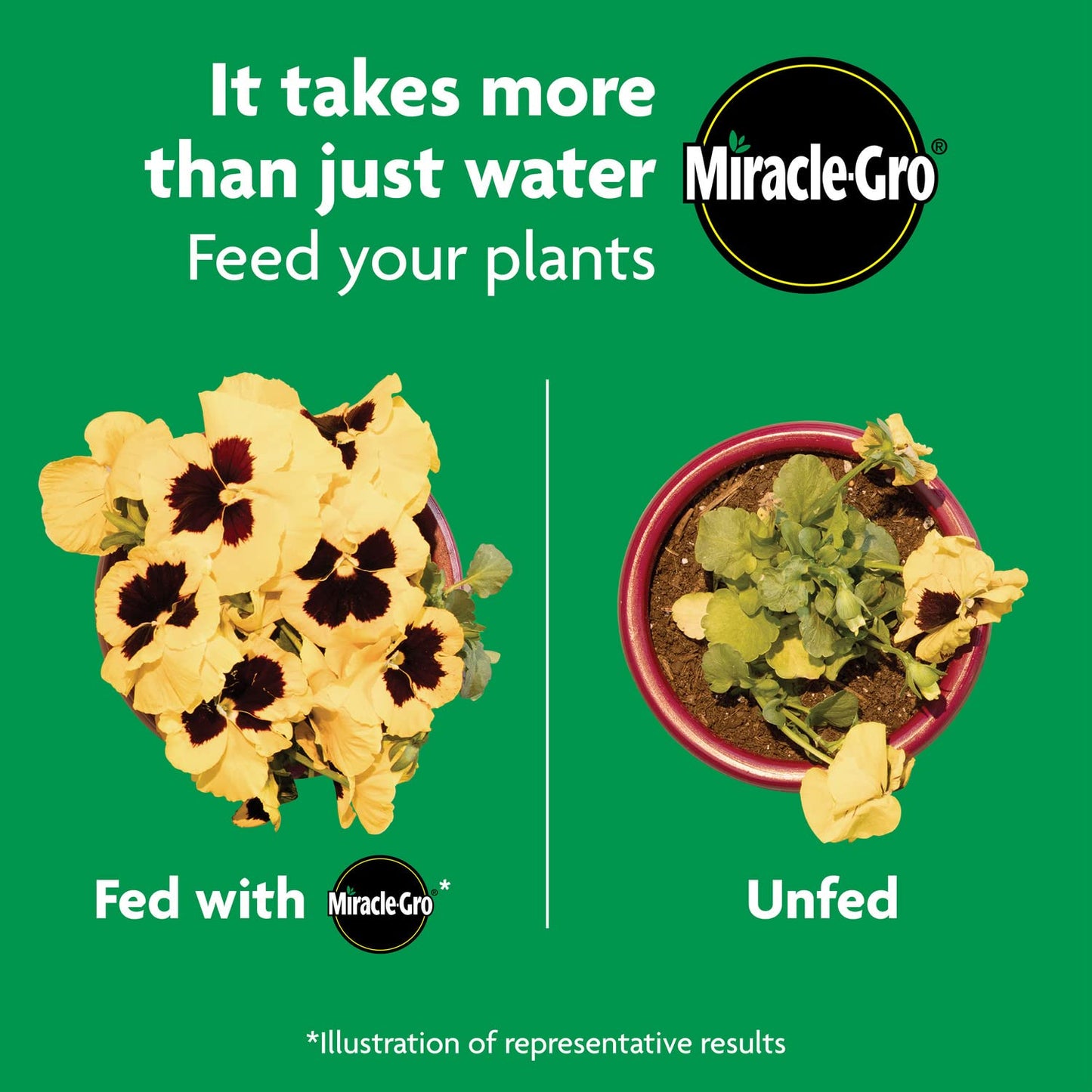 Miracle-Gro Shake 'N Feed All Purpose Plant Food - Ideal for Indoor & Outdoor Plants, 4.5 lbs.