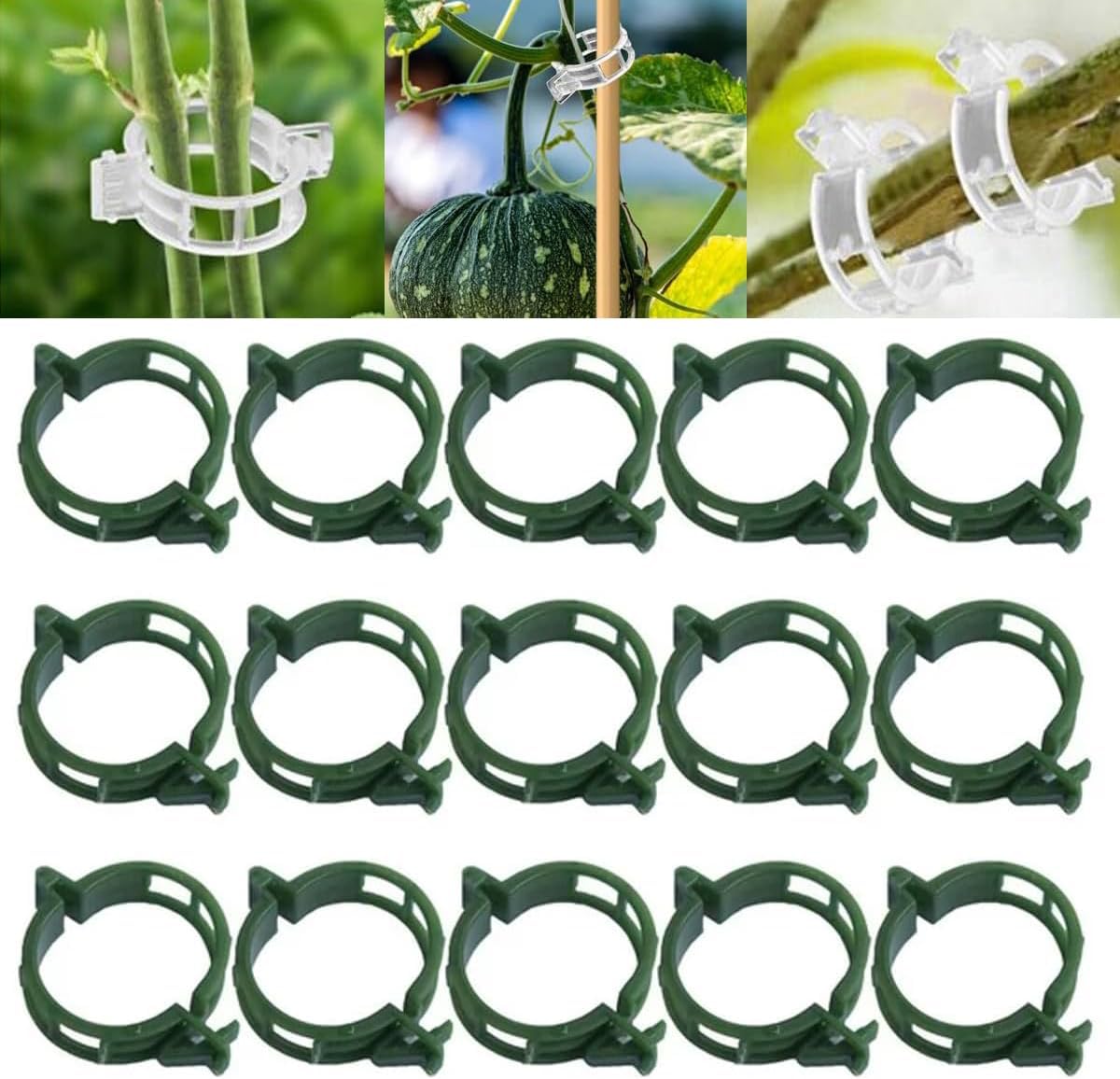 Skiennix Plant Support Clips - Durable Reusable Fixing Clips for Climbing Plants | 100 Pack, Green