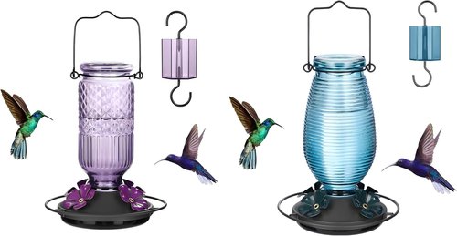 Feed Garden Hummingbird Feeder - Blue & Purple Bundle for Attracting Birds
