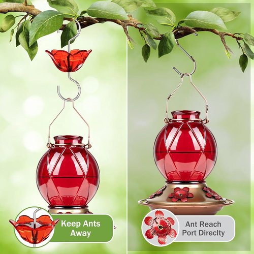BOLITE Ant Moat - 5 Oz Hummingbird Feeder Ant Guard | Large Capacity Red Flower Shape - 2 Pack
