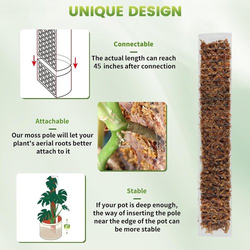 EOX 24-Inch Plastic Moss Poles - Set of 4 Large D-Shaped Climbing Plant Stakes for Monstera