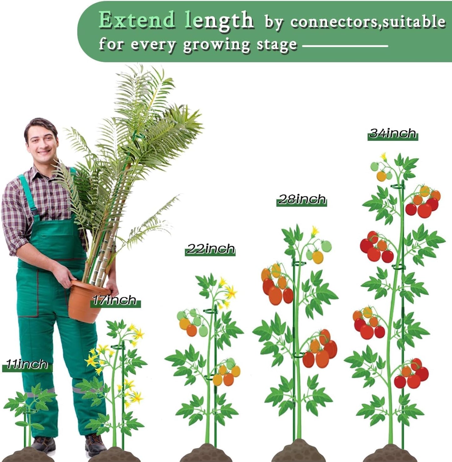SupKing Plant Stakes - Adjustable 17" & 11" Support for Indoor/Outdoor Plants | 16 Pcs Orchid Sticks with Clips & 20 Ties (Green)