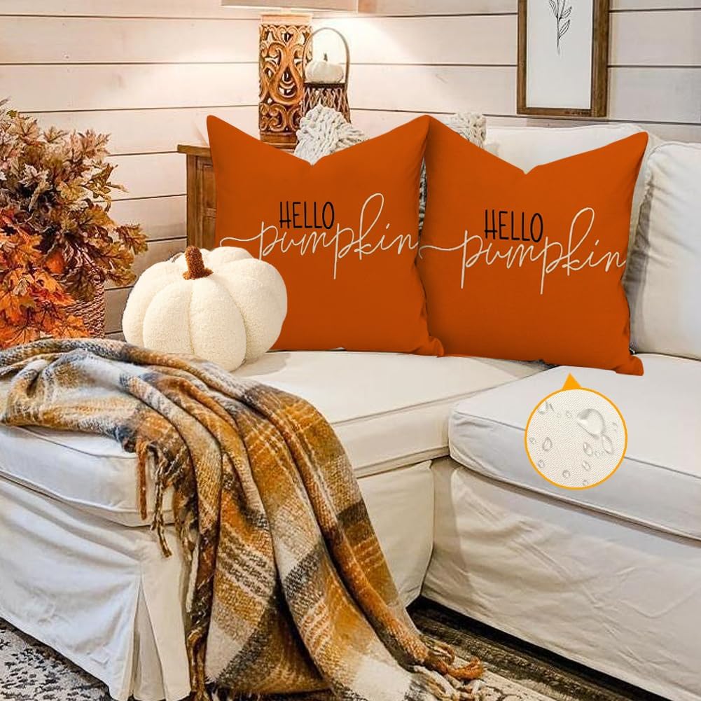RABUSOFA Fall Pillow Covers - 18x18 Inch Waterproof Rust Hello Pumpkin Design | Autumn Harvest Decor
