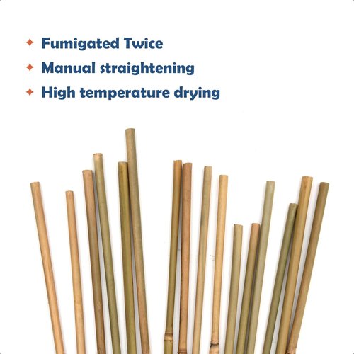 COLOtime Bamboo Stakes - 4FT Garden Support Poles for Climbing Plants | 25 Pack for Tomatoes & Beans