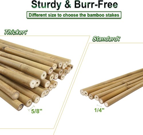 Jollybower 20 Pcs 6FT Heavy-Duty Bamboo Plant Stakes - Natural Support for Tomatoes, Beans & Flowers