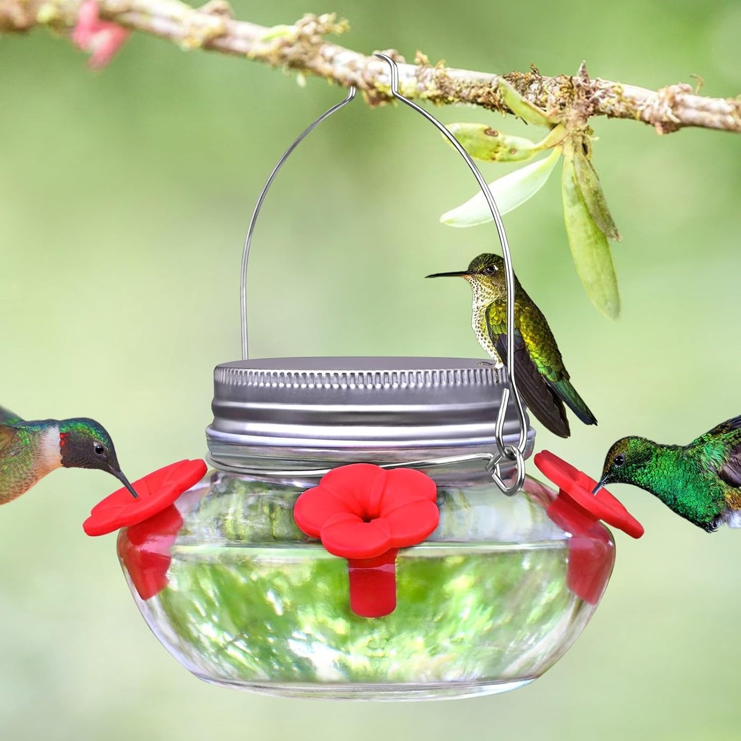 Skiennix Glass Hummingbird Feeder - Cute Mason Jar Design with 4 Silicone Flower Ports | Easy to Clean & Refill