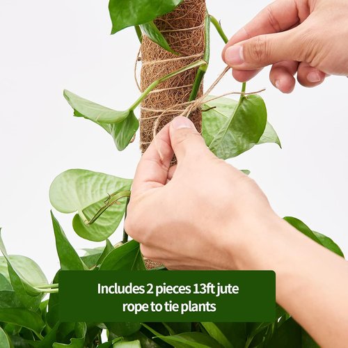 Eibikdi Moss Pole - 68-Inch Plant Support Stakes for Monstera & Indoor Climbing Plants | Includes 65ft Twist Ties & Jute Rope