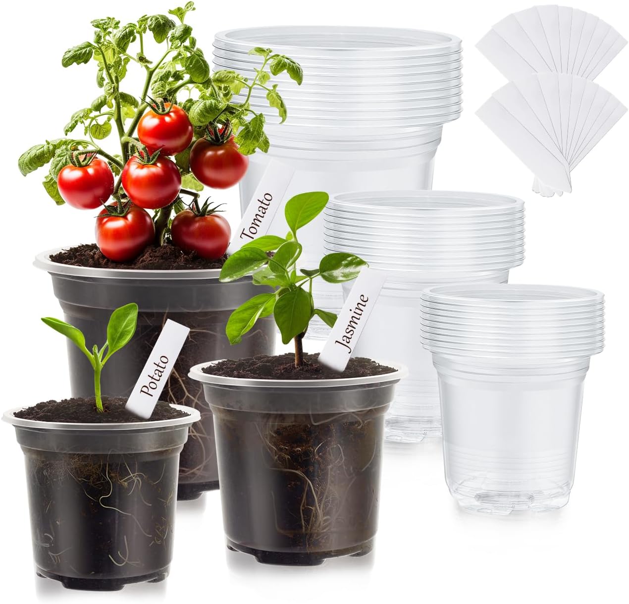 Skiennix Clear Nursery Pots - 30 Pack Plastic Seedling Pots with Drainage Holes | 3.5/4/5 Inch