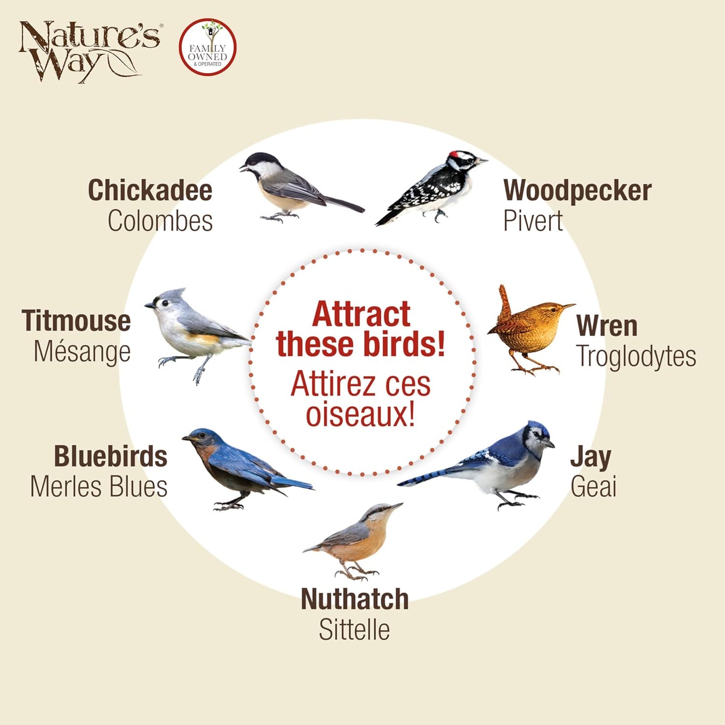 Nature's Way Bird Products Suet Bird Feeder - Tail-Propping Design | 12"H x 7.875"L x 3"W, Brown