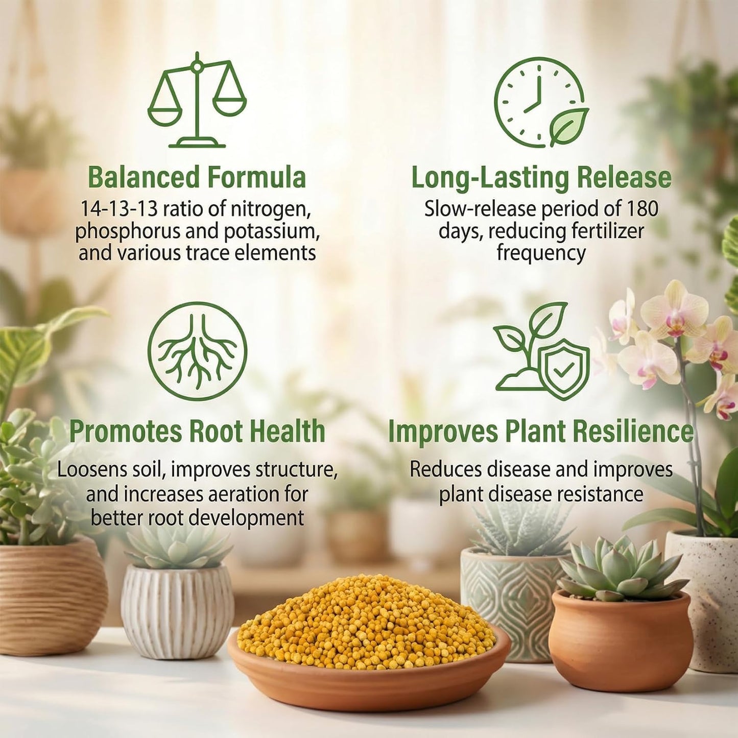 Rainflow Organic Plant Food - All-Purpose Slow Release Fertilizer for Succulents, Cactus & Orchids | 11.28 Oz