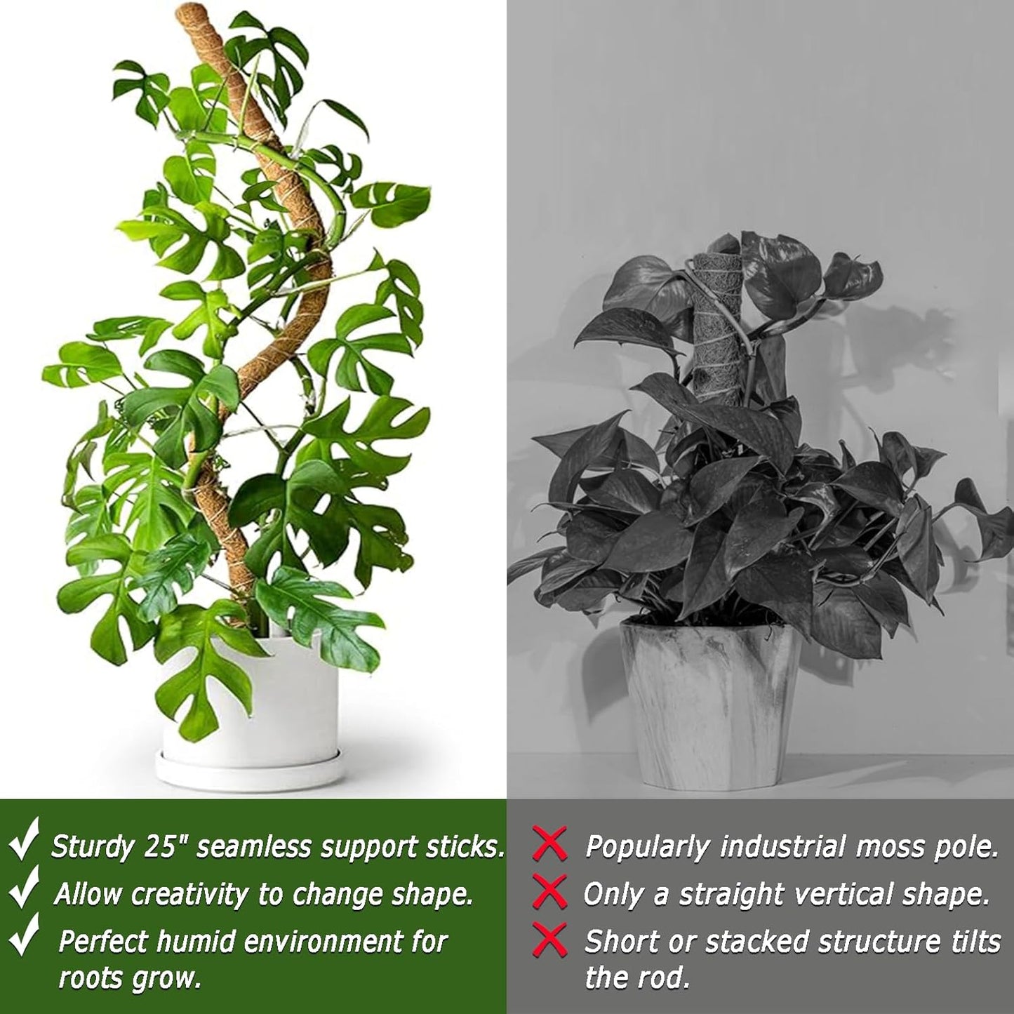 Skiennix 25-Inch Bendable Moss Pole - Handmade Coco Coir Support for Climbing Plants
