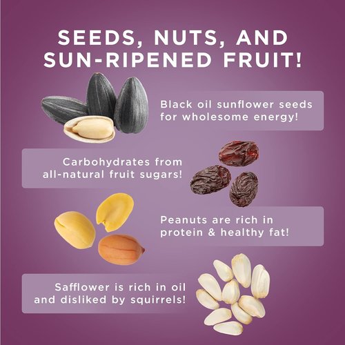 Audubon Park Wild Bird Food - Nut & Fruit Snack Stack Bird Seed Cake | 6-Pack for Outdoor Feeders