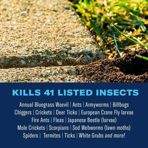 Bayer Crop Science Surface Insect Killer - Effective Soil & Turf Treatment, 10 lb Granules