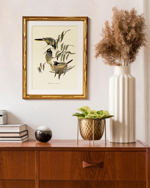 HUARCEY Antique Bird Botanical Wall Art - Classic Gold Framed Canvas Illustration 11x14