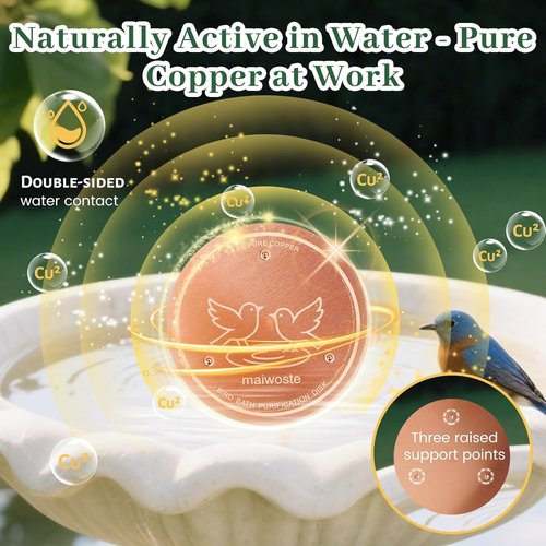 Bird Bath Copper Disk - 4 Inch 99.9% Pure Copper Disc with Triple-Point Support | All-Season Natural Water Cleaner