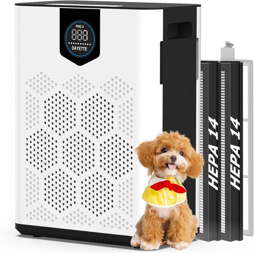 DAYETTE Air Purifier - HEPA 14 Filter for Large Rooms Up to 3000 Ft² | Pet-Friendly, Washable Prefilter, White