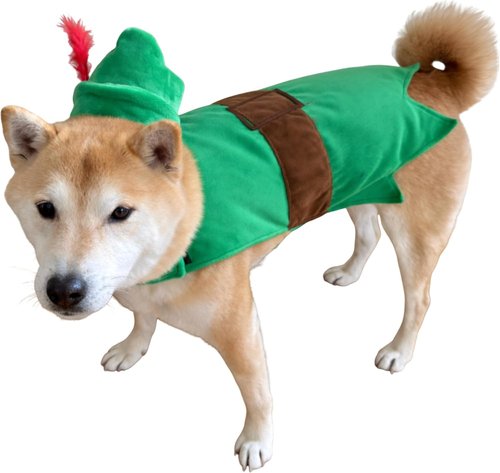 ComfyCamper Dog Costume - Green Forest Bandit Cape & Headpiece for Halloween | Size S