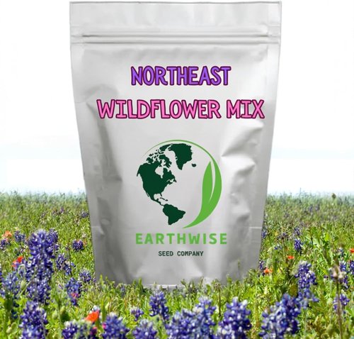 Earthwise Wildflower Seed Mix - Organic, Pollinator-Friendly Blend for Season-Long Color | Covers 500 sq ft, 1/4 lb