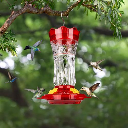 BOLITE Hummingbird Feeder - Leak Proof Design with Ant Moat & Bee Guards - 15 Ounces, Red Stars Decor