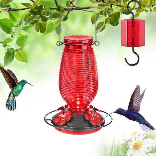 FEED GARDEN Glass Hummingbird Feeder - 20 OZ Capacity with 4 Bee Guards & Ant Moat | Red, 1 Pack
