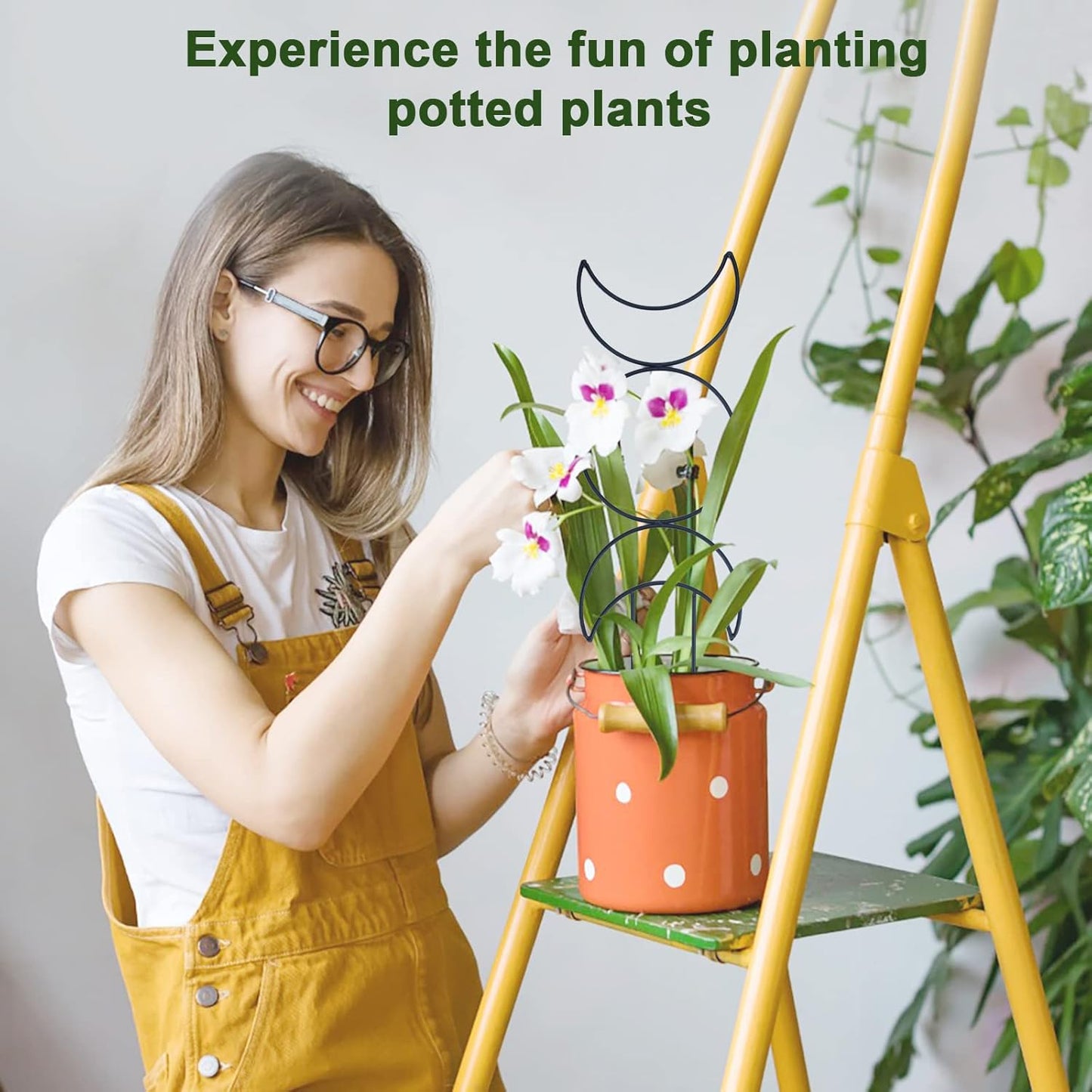 Wellsign Indoor Plant Trellis - 16-Inch Metal Support for Climbing Vines & Flowers | 4-Pack