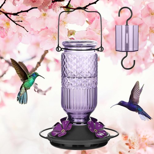 FEED GARDEN Glass Hummingbird Feeder - 16 Oz Purple & 20 Oz Red | Durable & Stylish Design