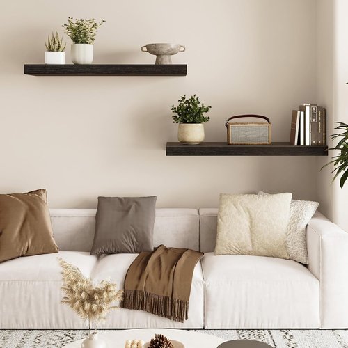 Fixwal Black Floating Shelves - 22" Rustic Wall-Mounted Storage for Living Room, Bedroom & Kitchen | Set of 2
