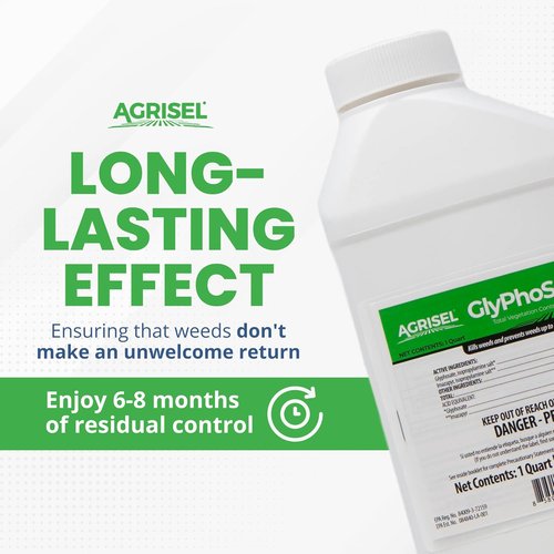 Agrisel GlyPhoSel Plus Weed Killer - Long-Lasting Action for Tough Weeds | 32 Ounces + 3-Pack Gloves