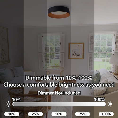 Bargeni Flush Mount Ceiling Light,13 inch Ceiling Light Fixtures,Matte Black with Wood Accent,3000K/Warm White/18W(100w Equiv.),Dimmable LED Lighting Fixtures Ceiling for Kitchen,Outdoor