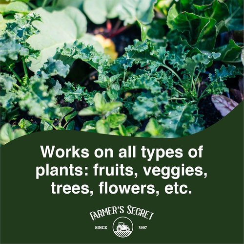 Farmer's Secret Spring Booster Fertilizer - Super Concentrated 8-16-8 Formula for All Plants | 8oz