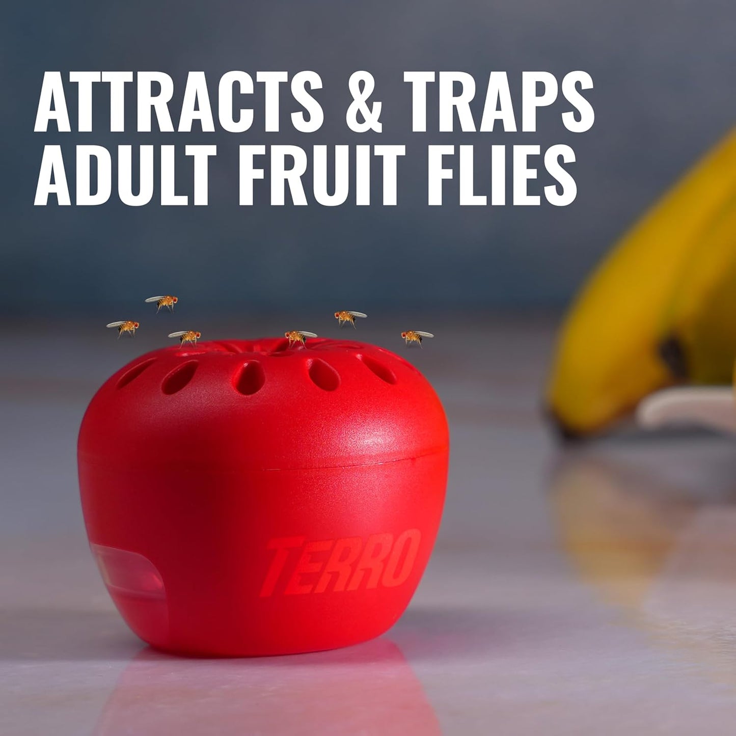 Terro Fruit Fly Traps - 6 Pack with 270 Days of Effective Lure Supply for Indoor Use