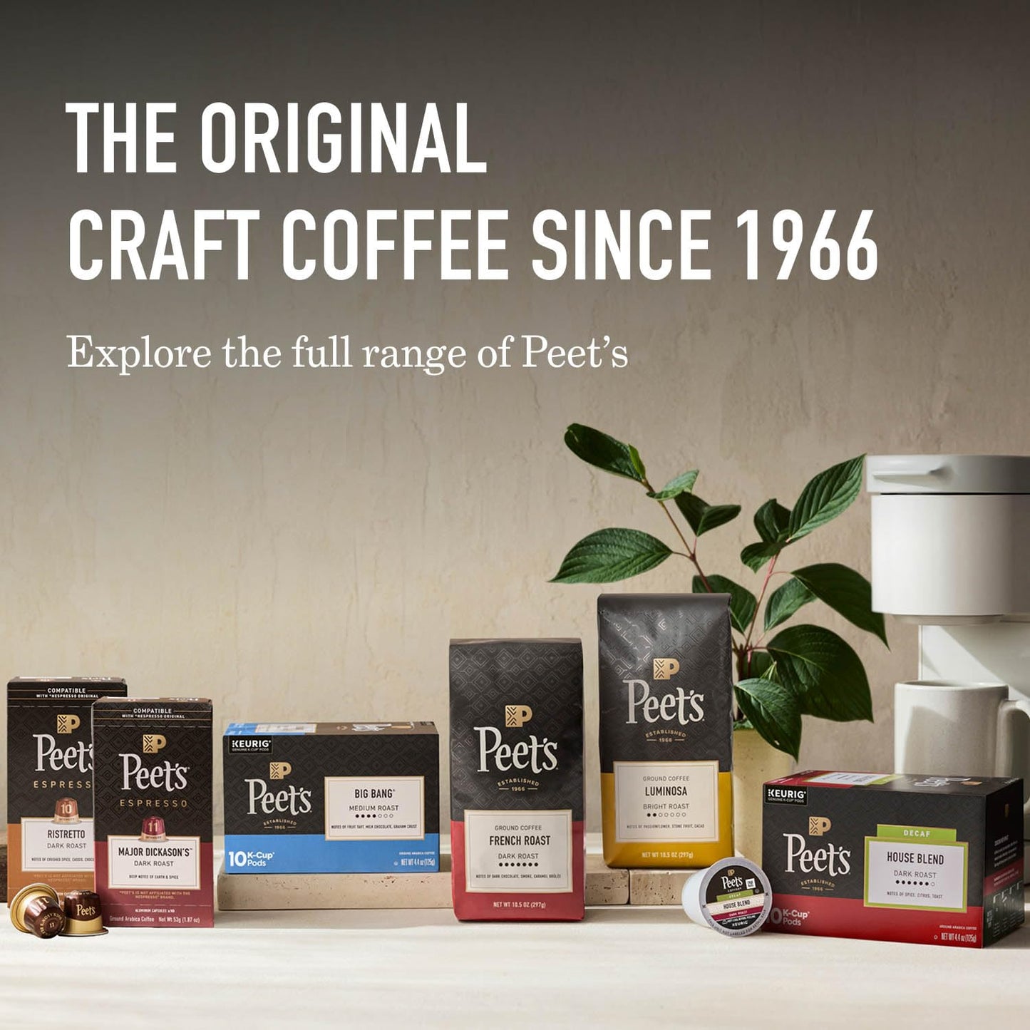 Peet's Coffee - Light Roast Ground Coffee | 100% Arabica Sun Catcher Blend, 10.5 Ounce Bag
